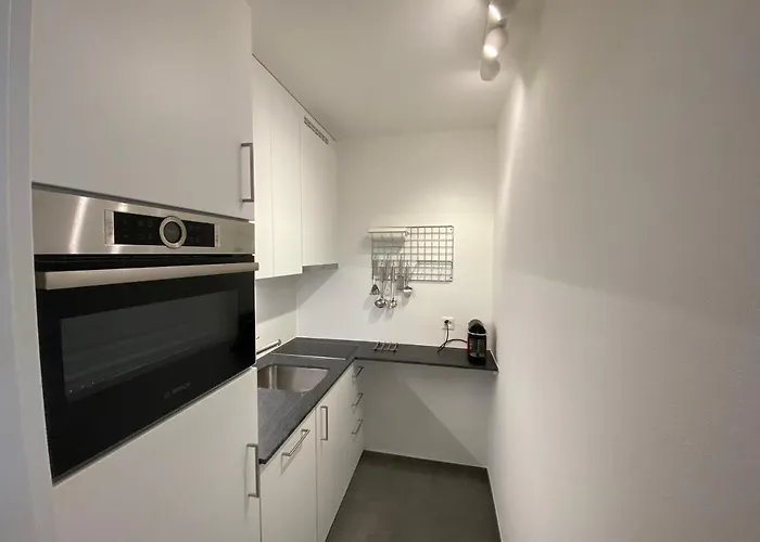 Apollo Horu 19 아파트 체르마트