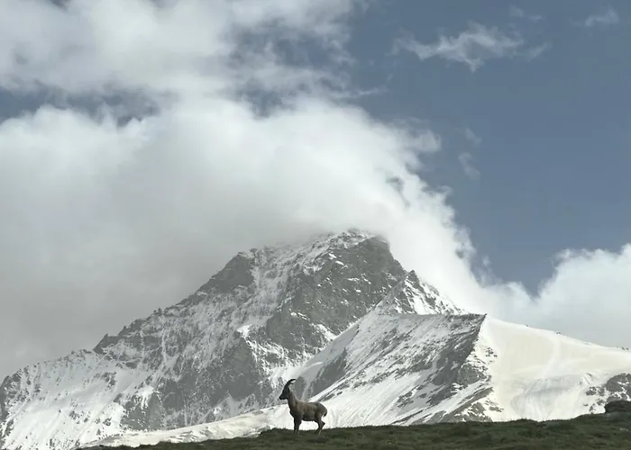 Apollo Horu 19 * 체르마트